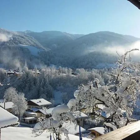 Bauernhof Burglehen Wagrain