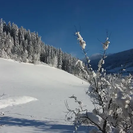 Bauernhof Burglehen Guest house