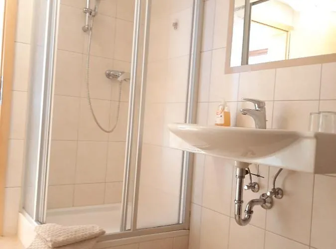 Bauernhof Burglehen Wagrain